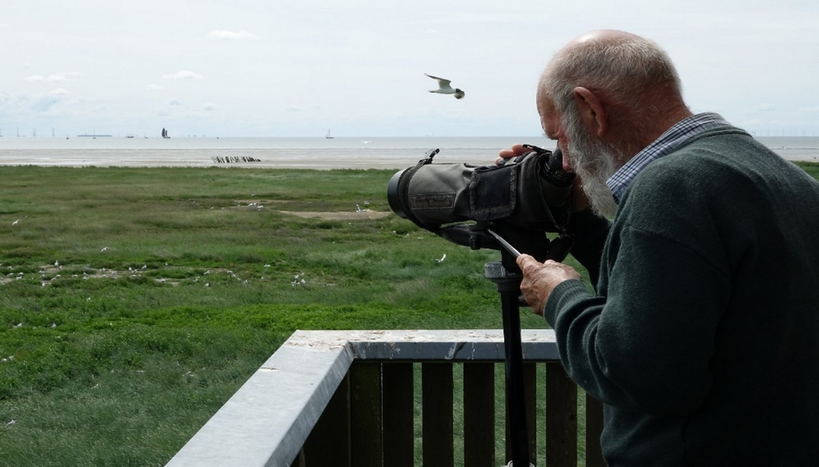 Wat Lepelaar-ervaringen op een onbewoond eiland!